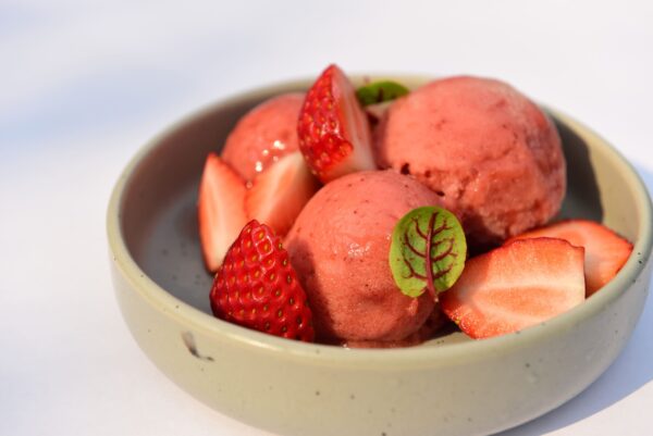 August: Day Ice cream & Sorbet